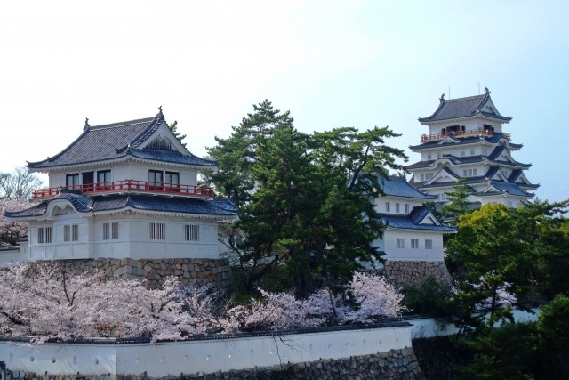 福山城🌸桜まつり🌸