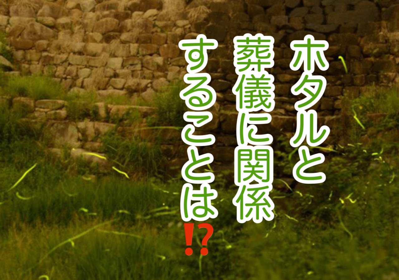 ホタルの幻想的な光！