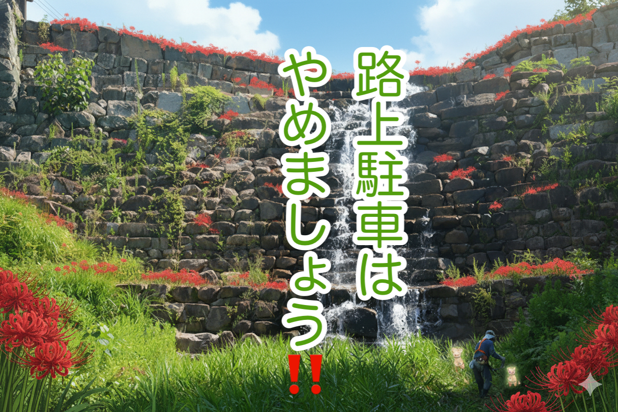 お伝えしたいこと・・・今日はこちら！