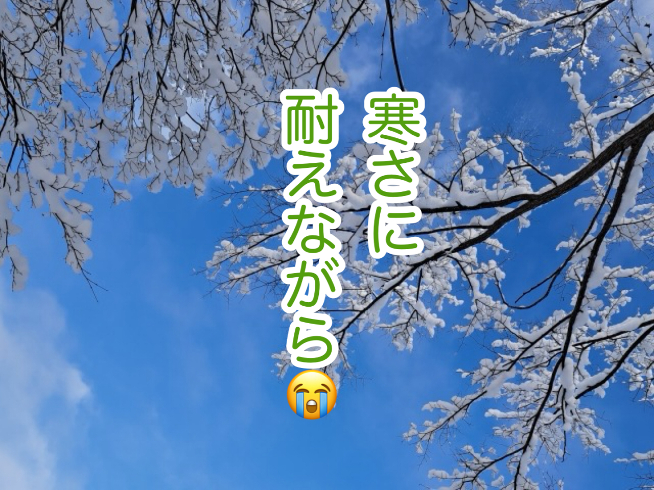 寒さ三段活用。氷・猛吹雪・積雪霊柩車─それでも現場に立つ理由！